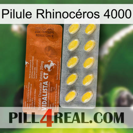 Pilule Rhinocéros 4000 42